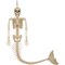 The Costume Center 21" Ivory Scary Mermaid Skeleton Hanging Halloween Prop